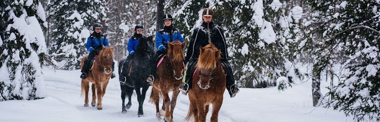 Montar a caballo por la naturaleza nevada en Apukka resort